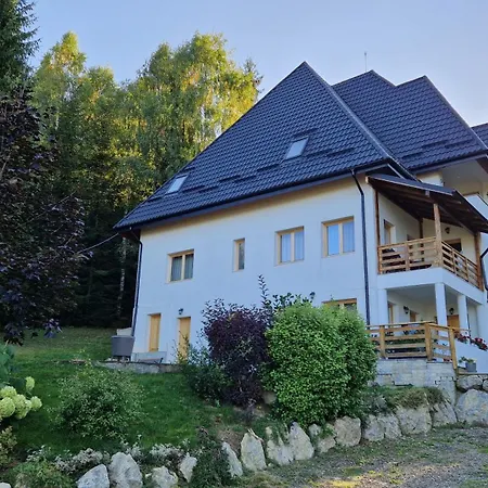 Bonita Chalet בית הארחה Neagra Sarului