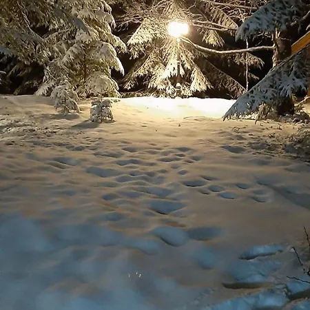 Bonita Chalet Neagra Sarului